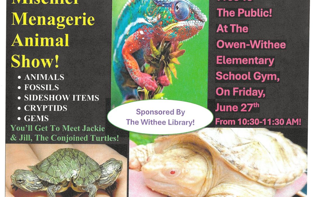 Mischief Menagerie Animal Show!